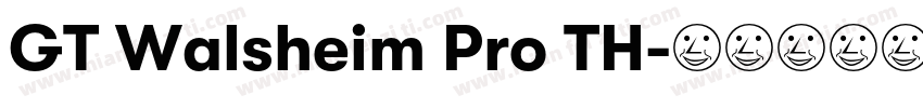 GT Walsheim Pro TH字体转换